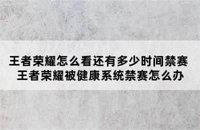 王者荣耀怎么看还有多少时间禁赛 王者荣耀被健康系统禁赛怎么办